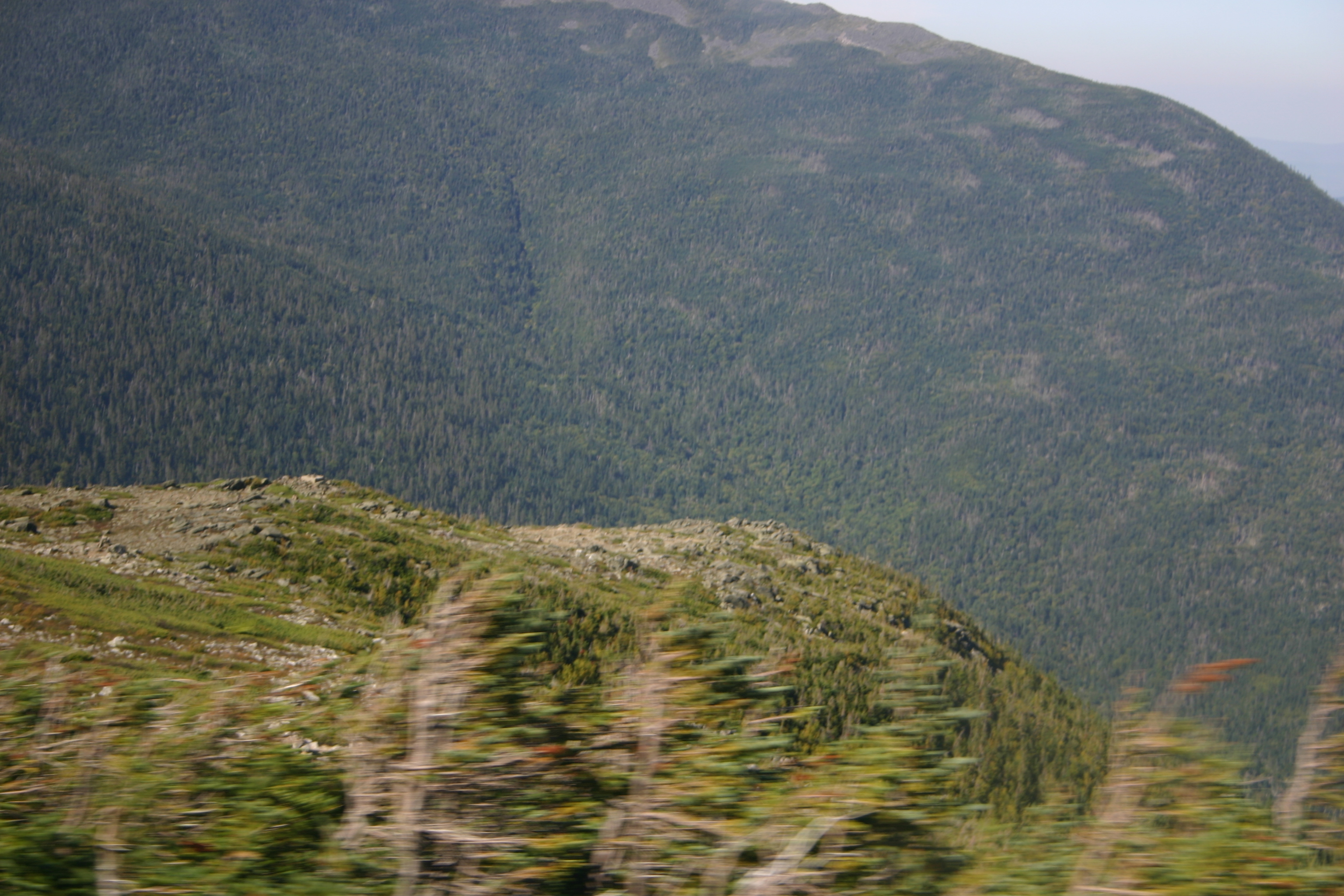 picture 38.